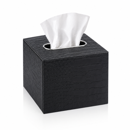 WIFI Tissue Box Camera with Remote Access